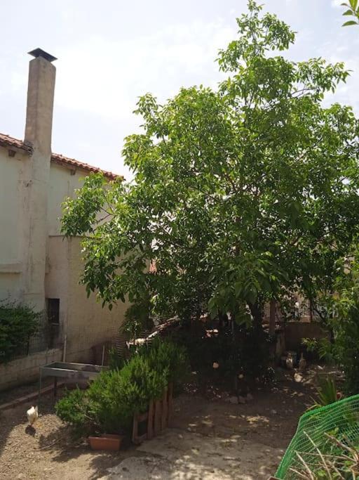 阿哈奈Το Μικρό Σπίτι Στη Φάρμα!公寓 外观 照片