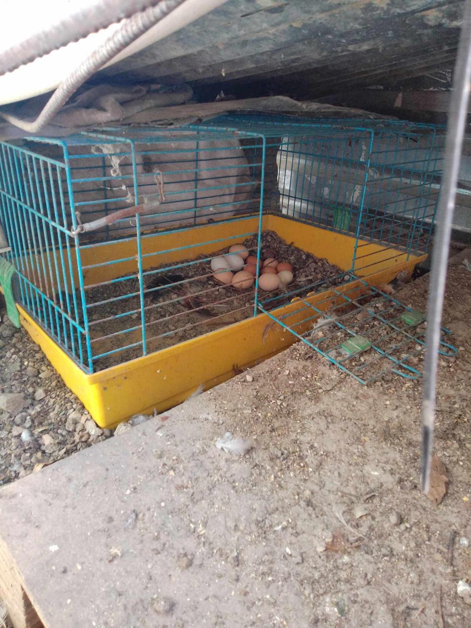 阿哈奈Το Μικρό Σπίτι Στη Φάρμα!公寓 外观 照片